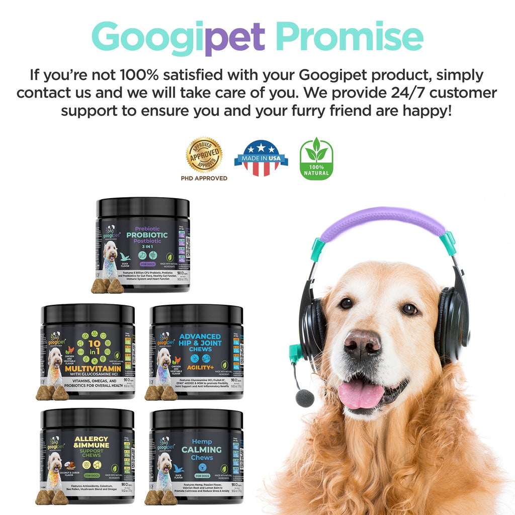 Googipet 3 in 1 Probiotic Chews for Dogs