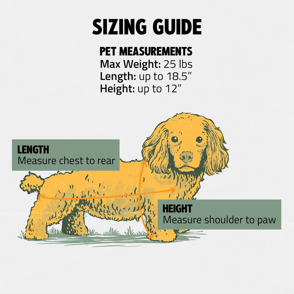 READY-FOR-ADVENTURE PET BACKPACK