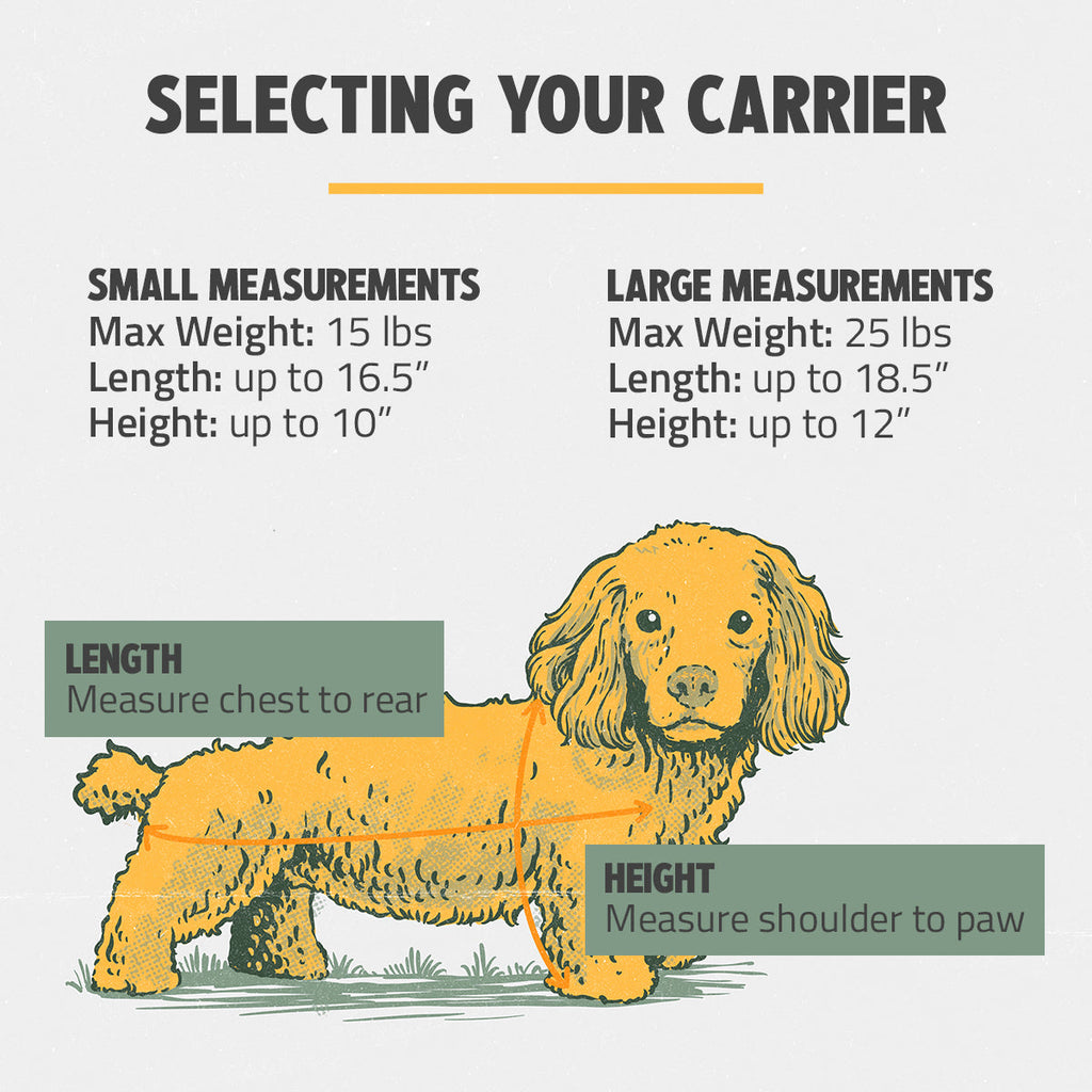 OUT-OF-OFFICE PET CARRIER RE-LOVED EDITION