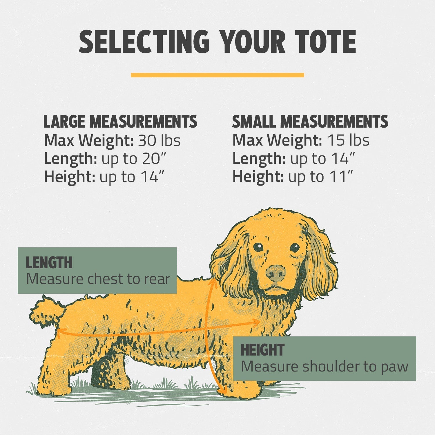 OUT-AND-ABOUT PET TOTE PRO EDITION