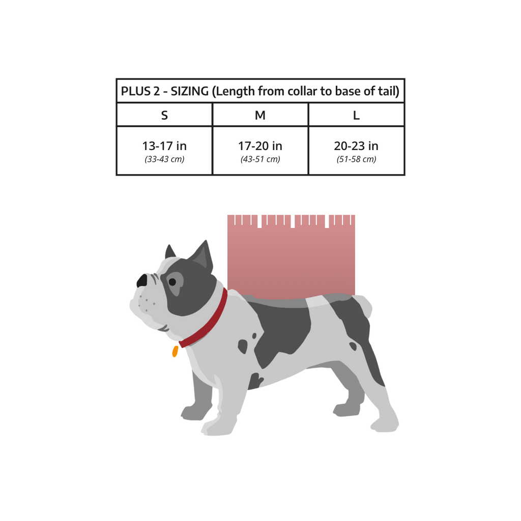 K9 Sportsack Plus 2 | Dog Carrier with Removable Storage