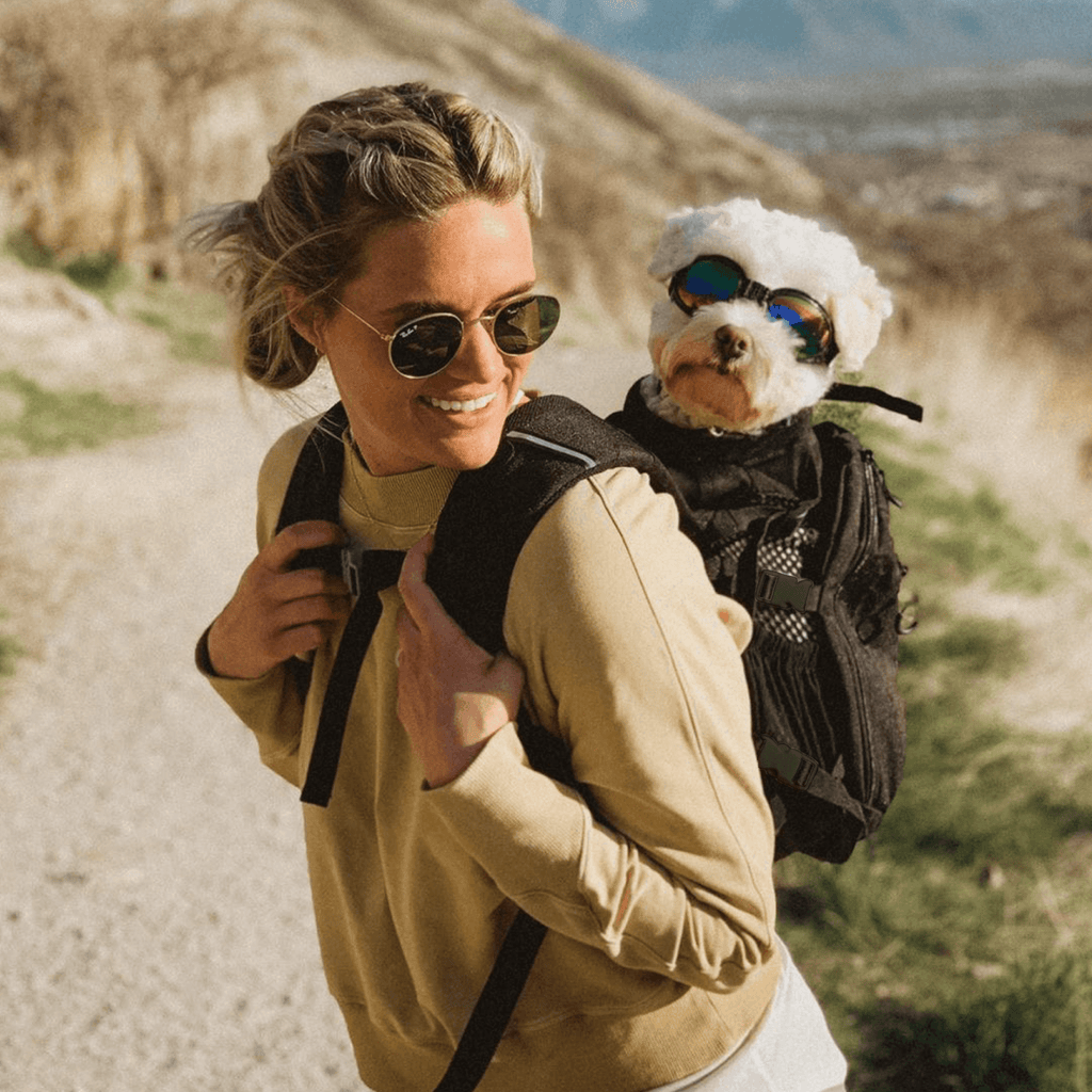 K9 Sportsack Plus 2 | Dog Carrier with Removable Storage