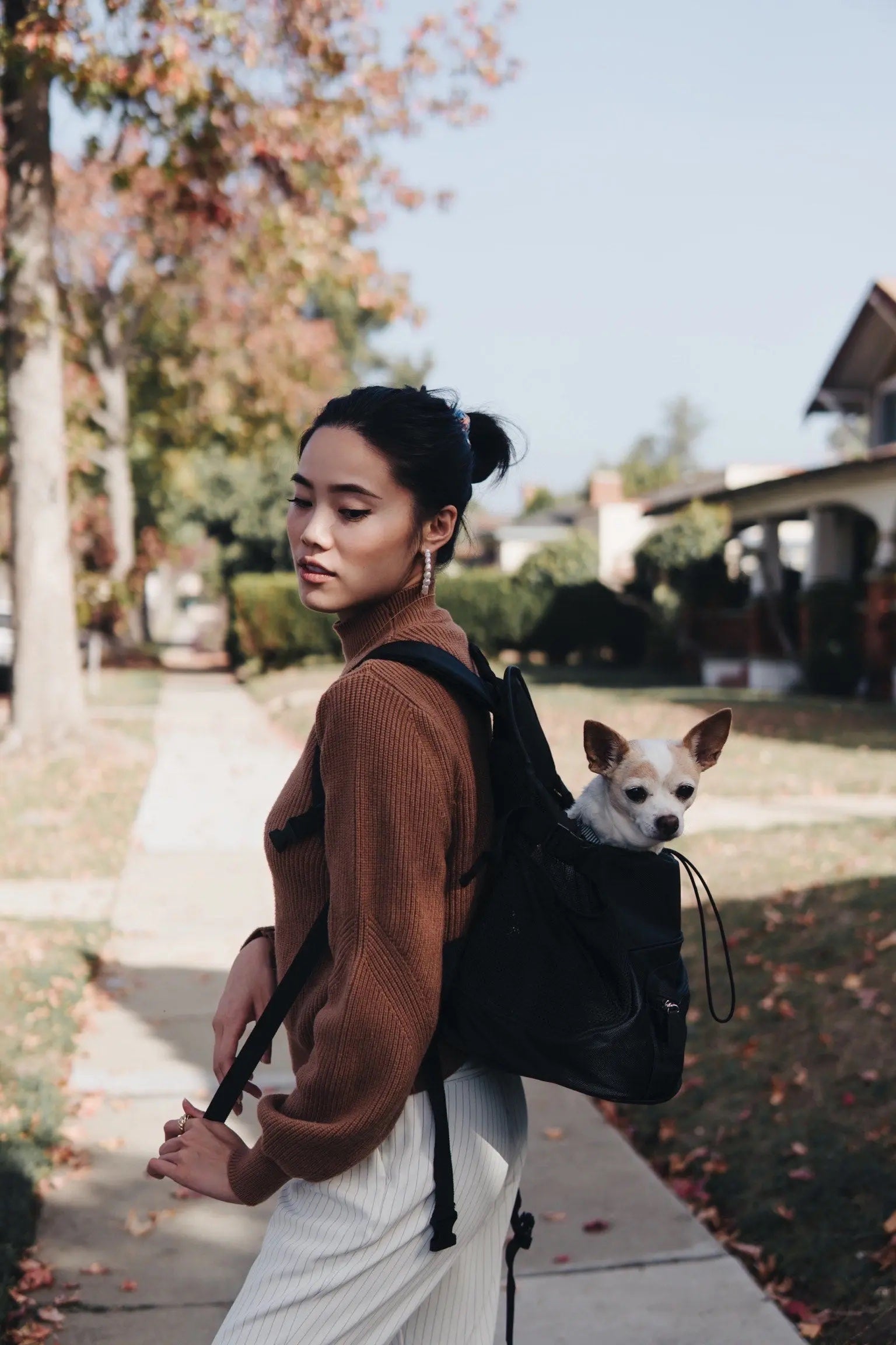 Oskar & Friends Premium Pet Backpack – Secure, Stylish, Travel-Ready