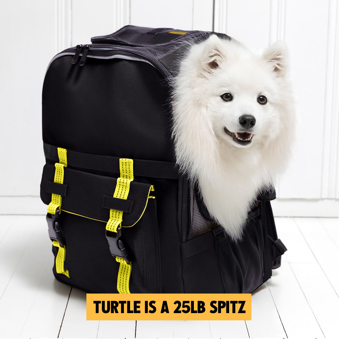 READY-FOR-ADVENTURE PET BACKPACK