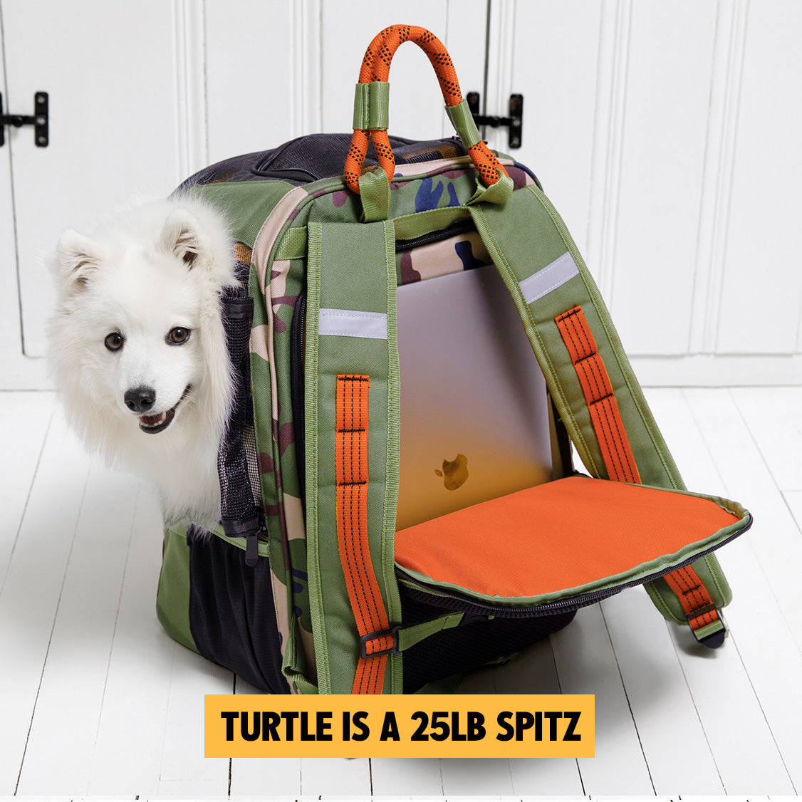 READY-FOR-ADVENTURE PET BACKPACK