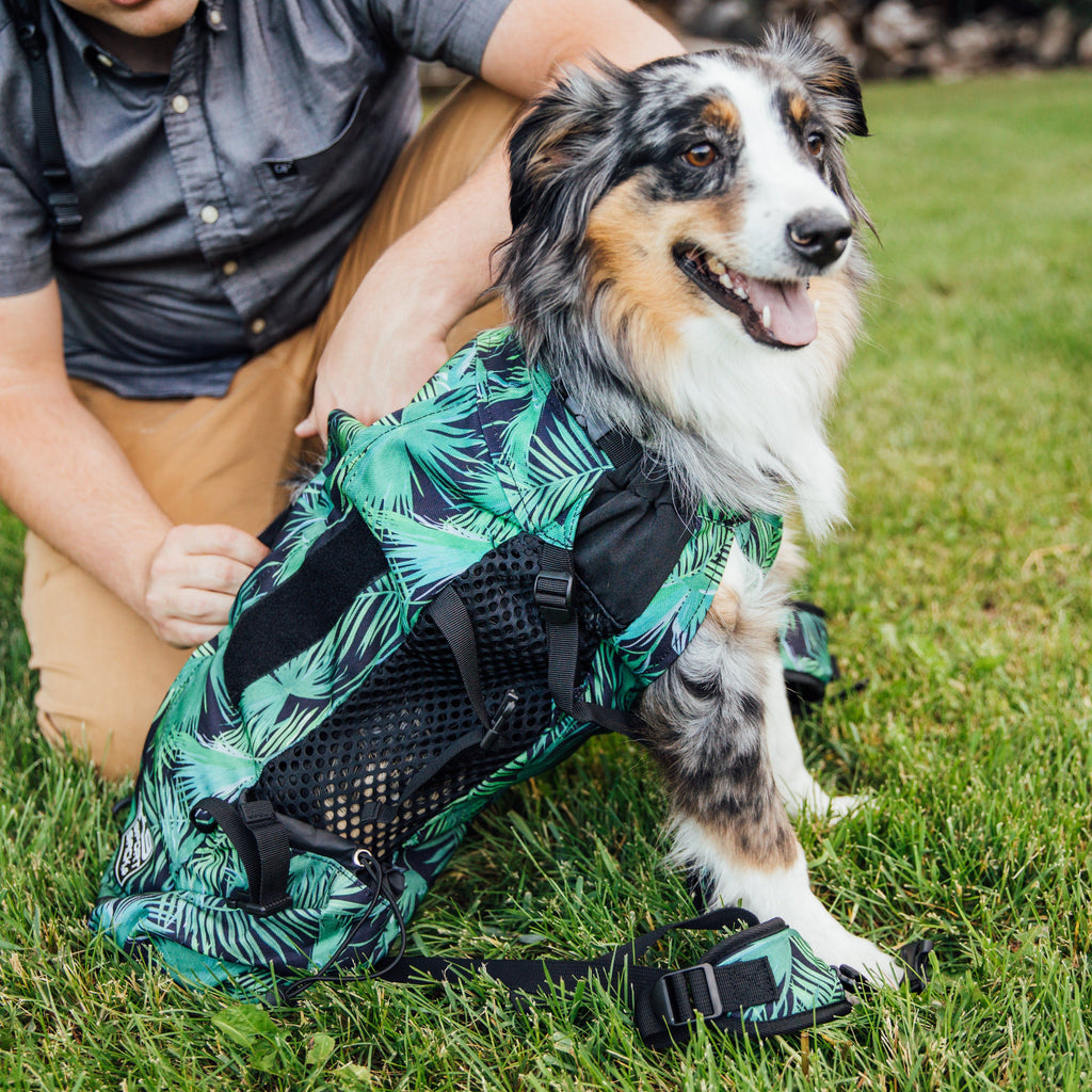 K9 Sport Sack Air 2 | Original Backpack Dog Carrier