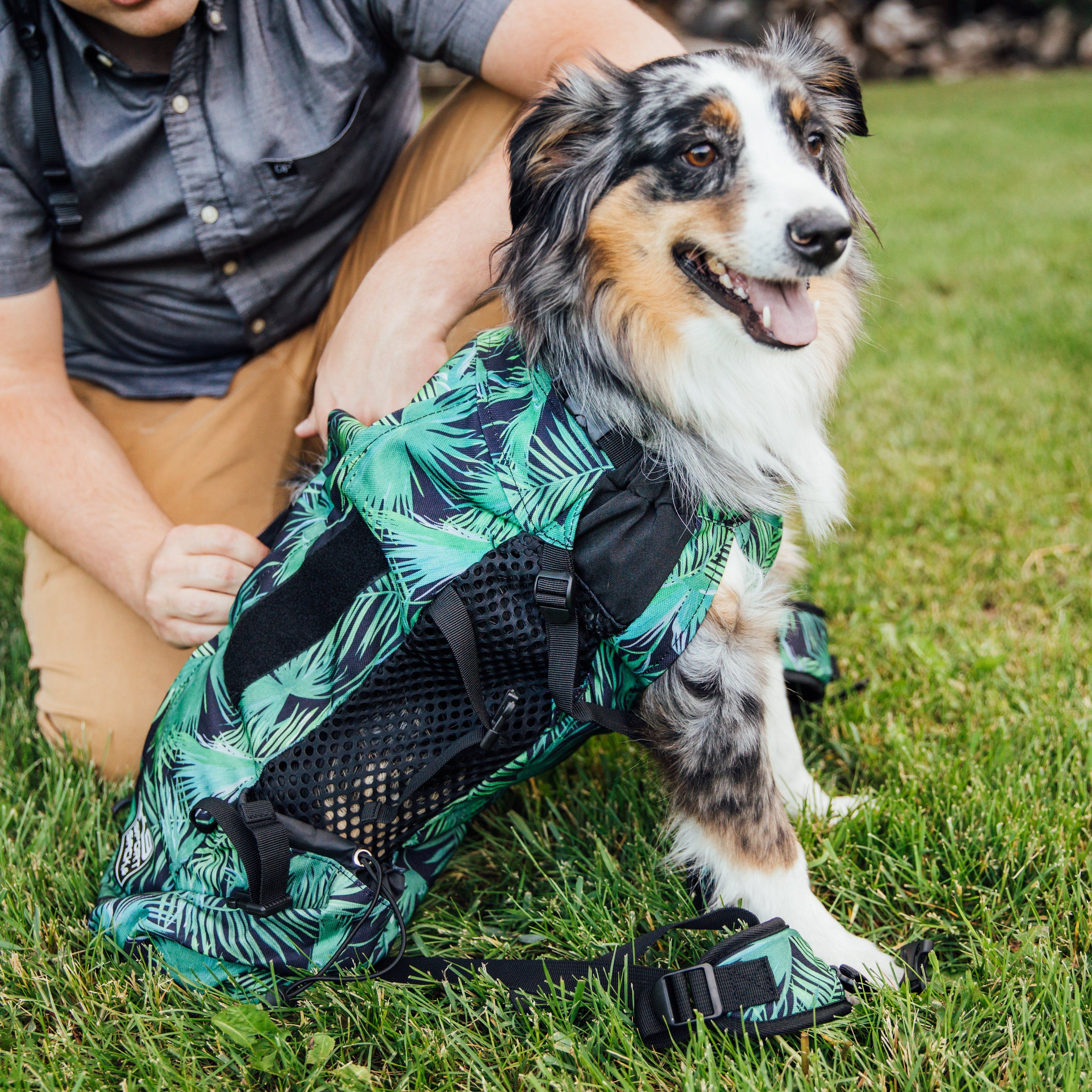 K9 Sport Sack Air 2 | Original Backpack Dog Carrier
