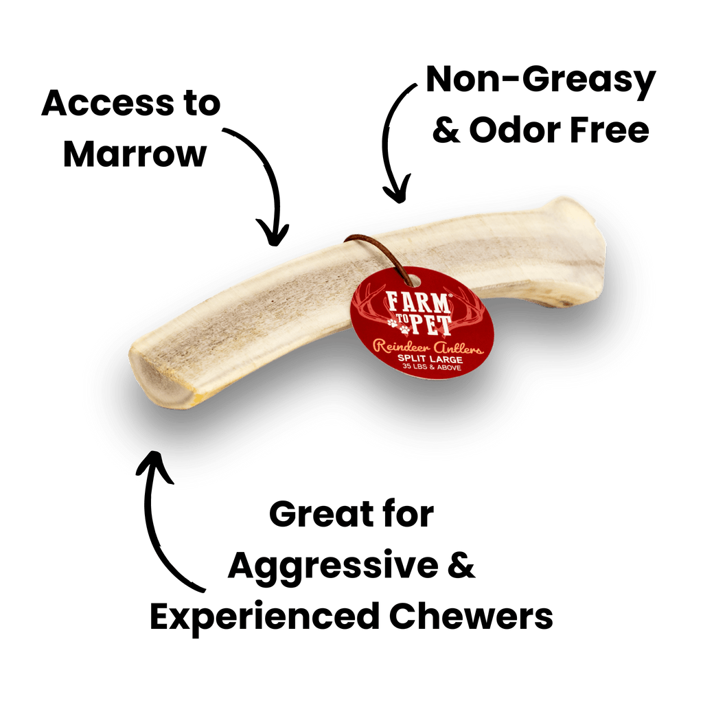 Split Reindeer Antlers for Dogs