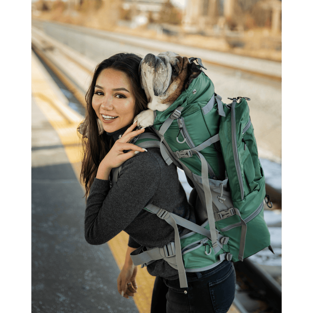 K9 Sportsack Kolossus | Big Dog Carrier & Backpacking Pack