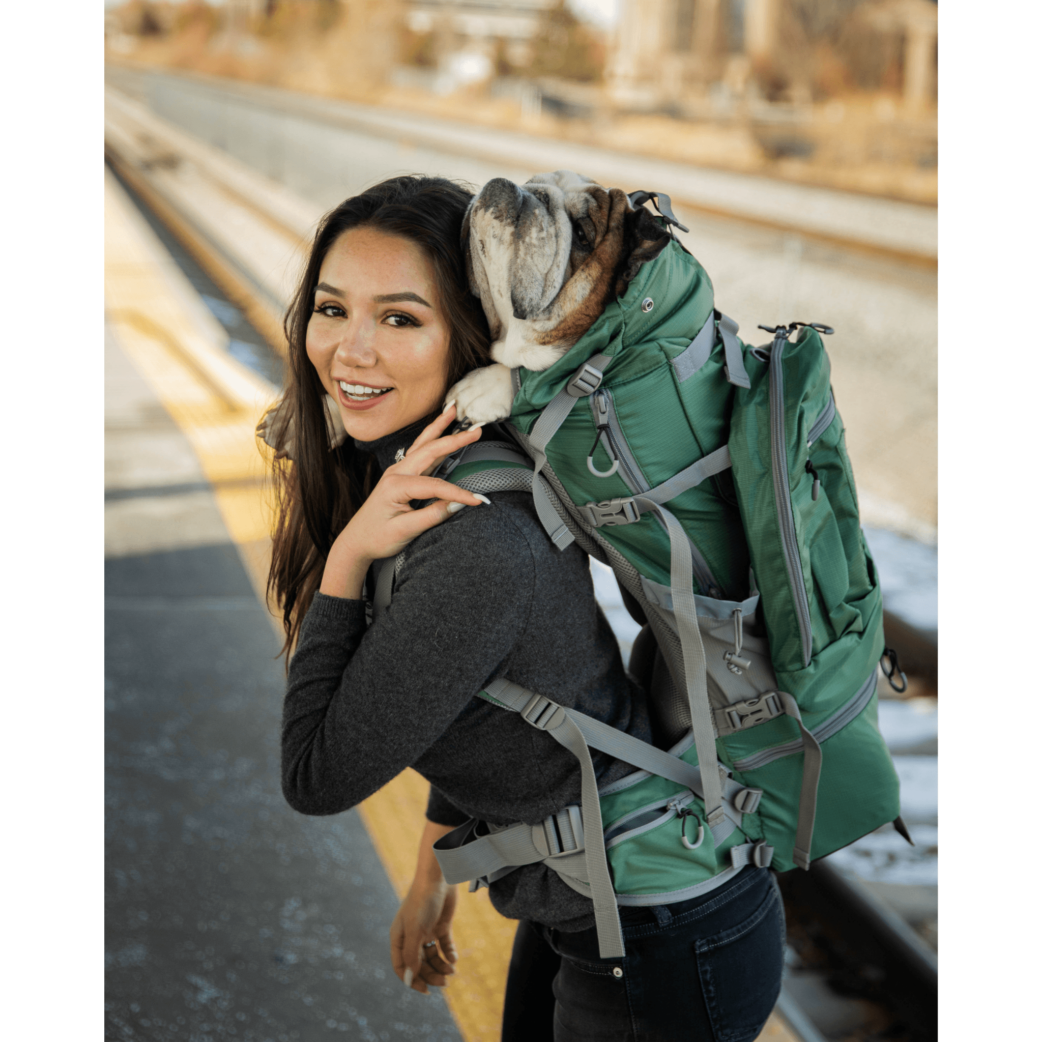 K9 Sportsack Kolossus | Big Dog Carrier & Backpacking Pack