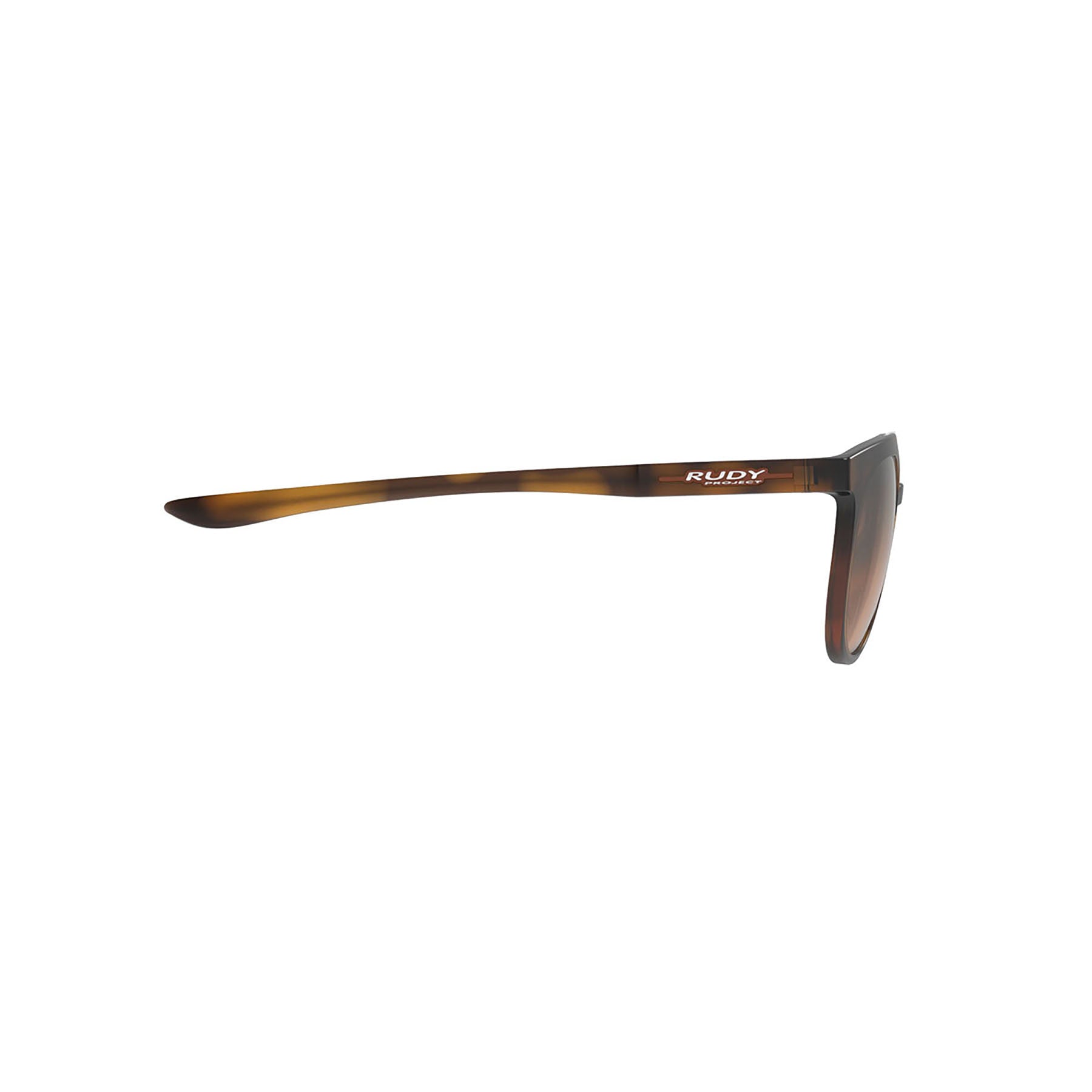 Astroloop Demi Turtle Brown