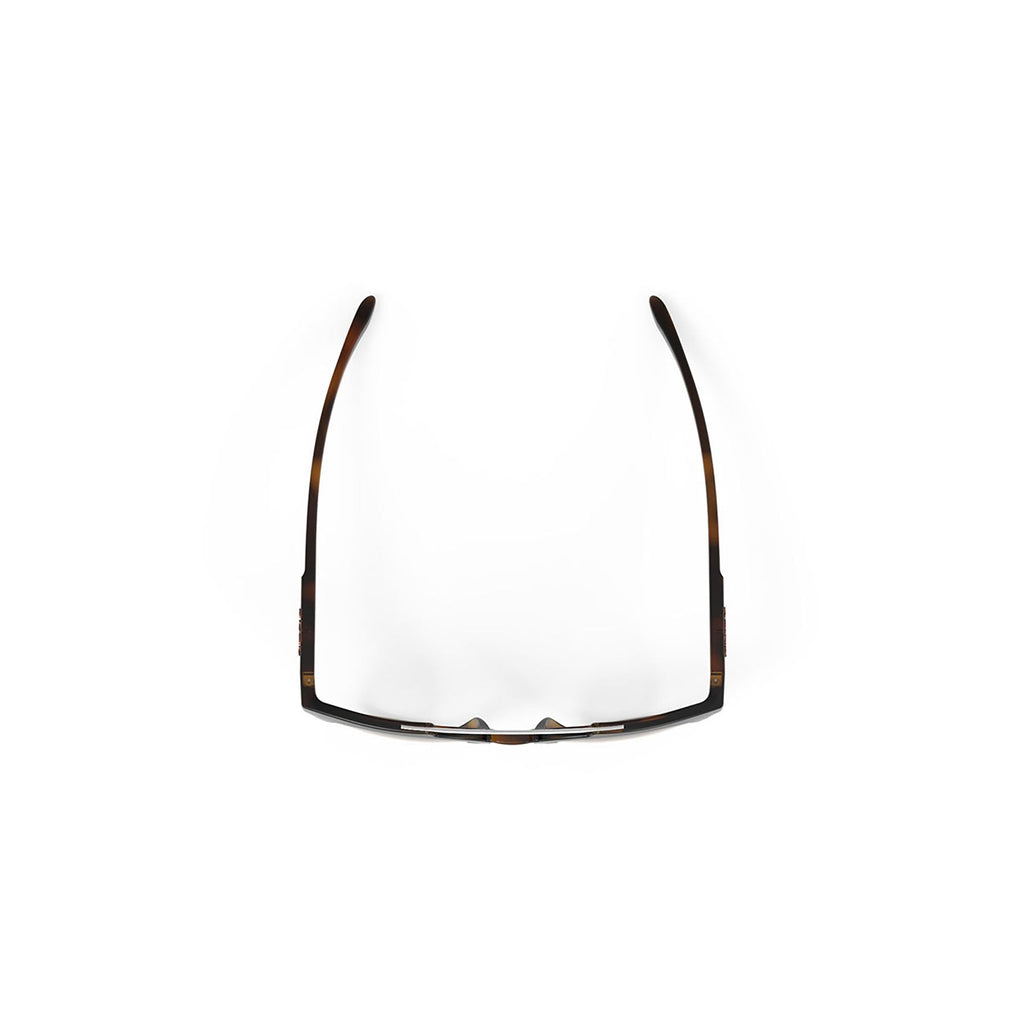 Astroloop Demi Turtle Brown