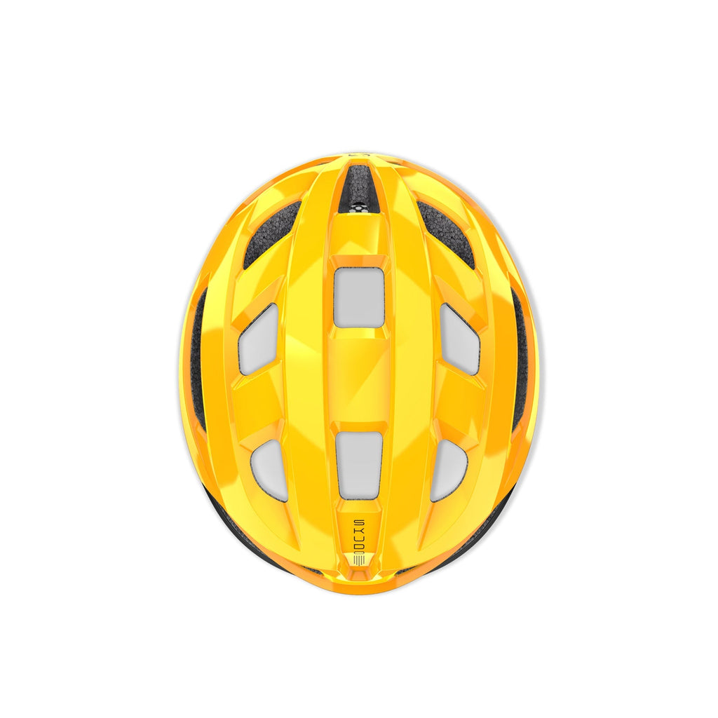 Skudo Mango Shiny Large