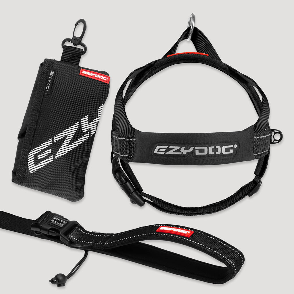 Running Bundle
