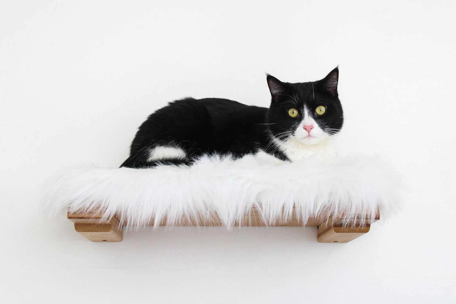 The Cat Nest Bed by Catastrophic Creations