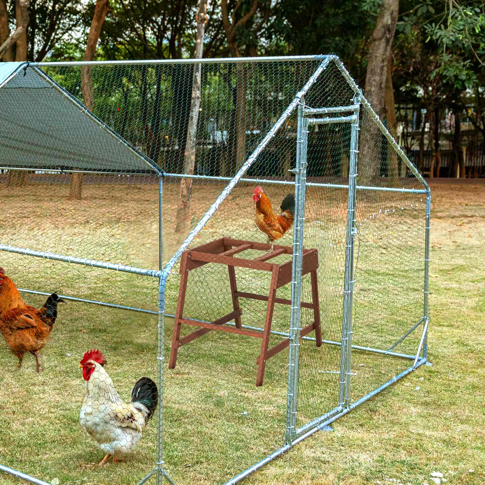 PETSFIT Chicken Coop Accessory with Multiple Chicken Perches