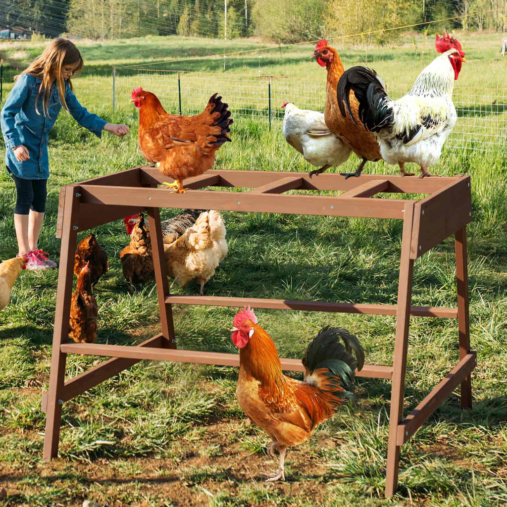 PETSFIT Chicken Coop Accessory with Multiple Chicken Perches