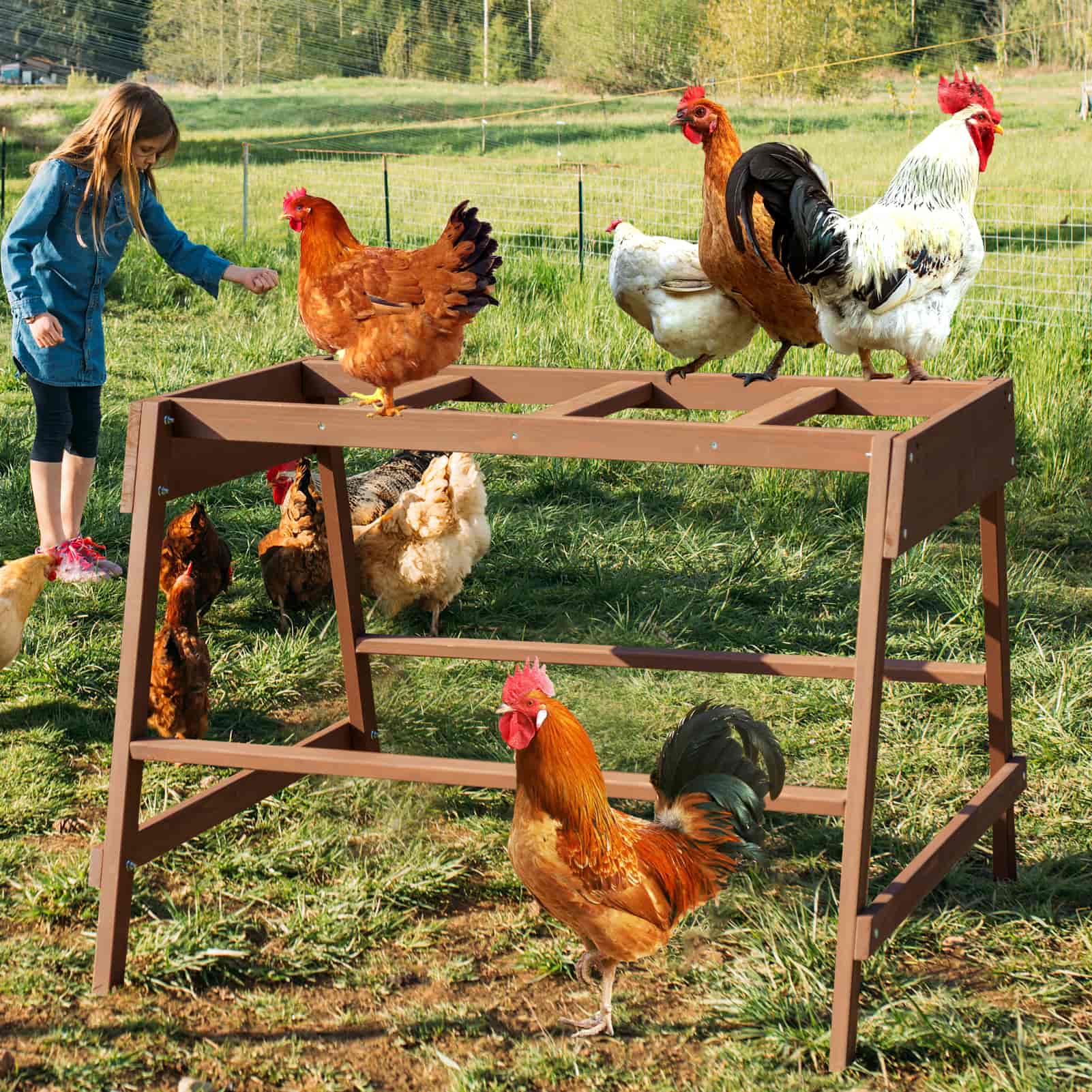 PETSFIT Chicken Coop Accessory with Multiple Chicken Perches