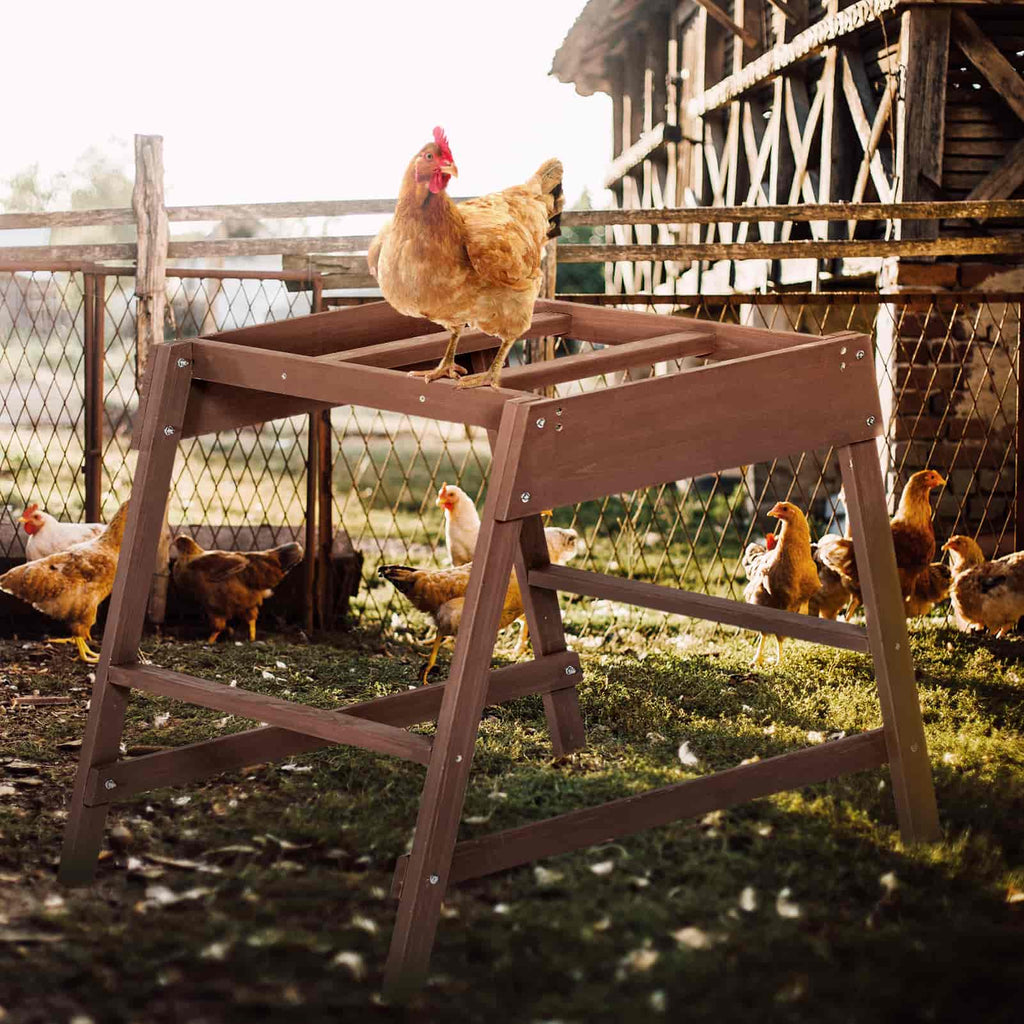 PETSFIT Chicken Coop Accessory with Multiple Chicken Perches
