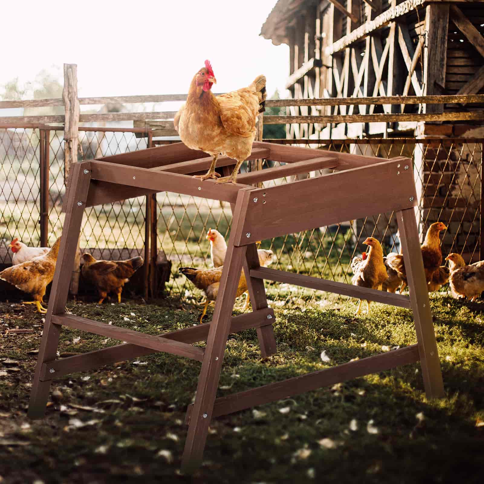 PETSFIT Chicken Coop Accessory with Multiple Chicken Perches