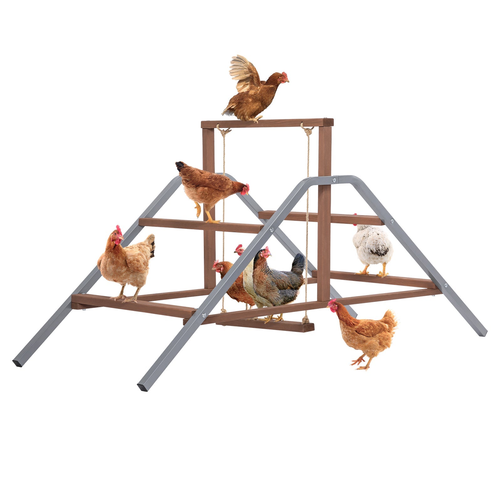 PETSFIT Chicken Perch Ladder-Solid Wood and Rustproof Iron Design