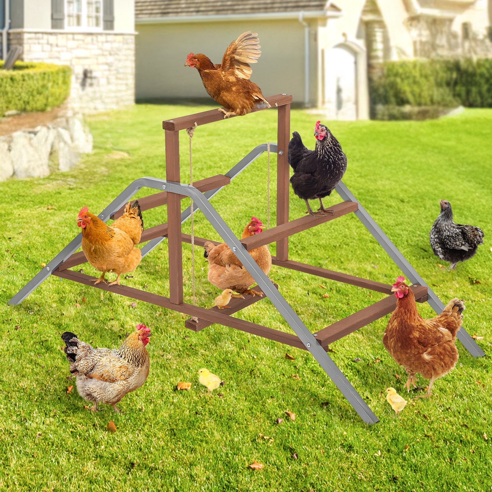 PETSFIT Chicken Perch Ladder-Solid Wood and Rustproof Iron Design