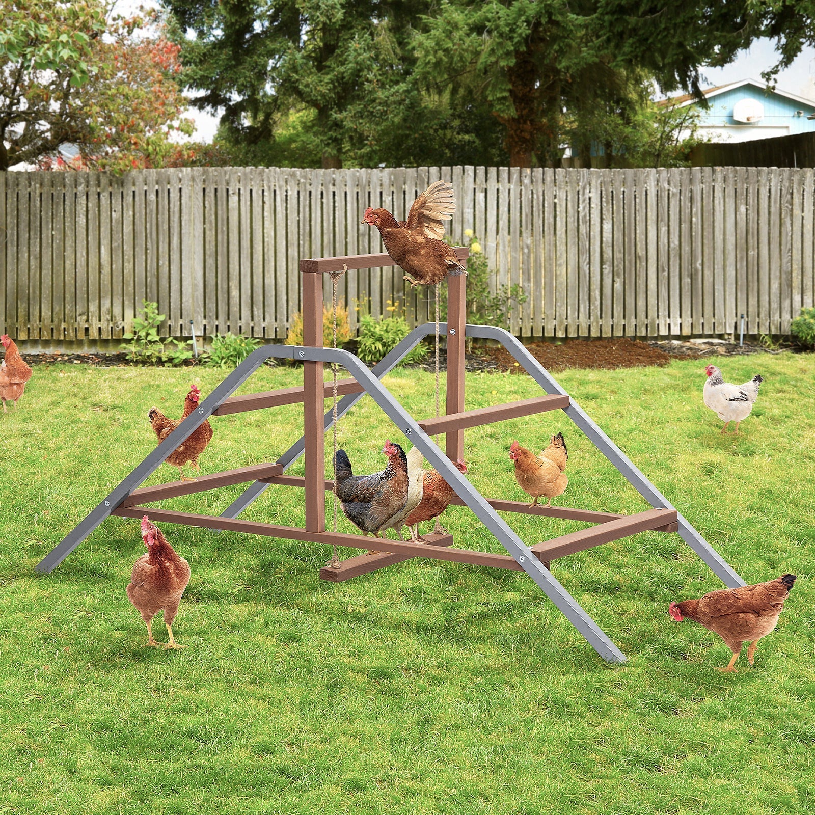 PETSFIT Chicken Perch Ladder-Solid Wood and Rustproof Iron Design