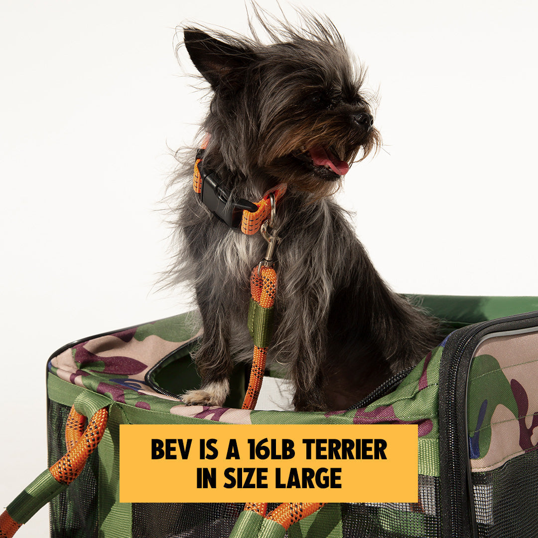 OUT-OF-OFFICE PET CARRIER RE-LOVED EDITION
