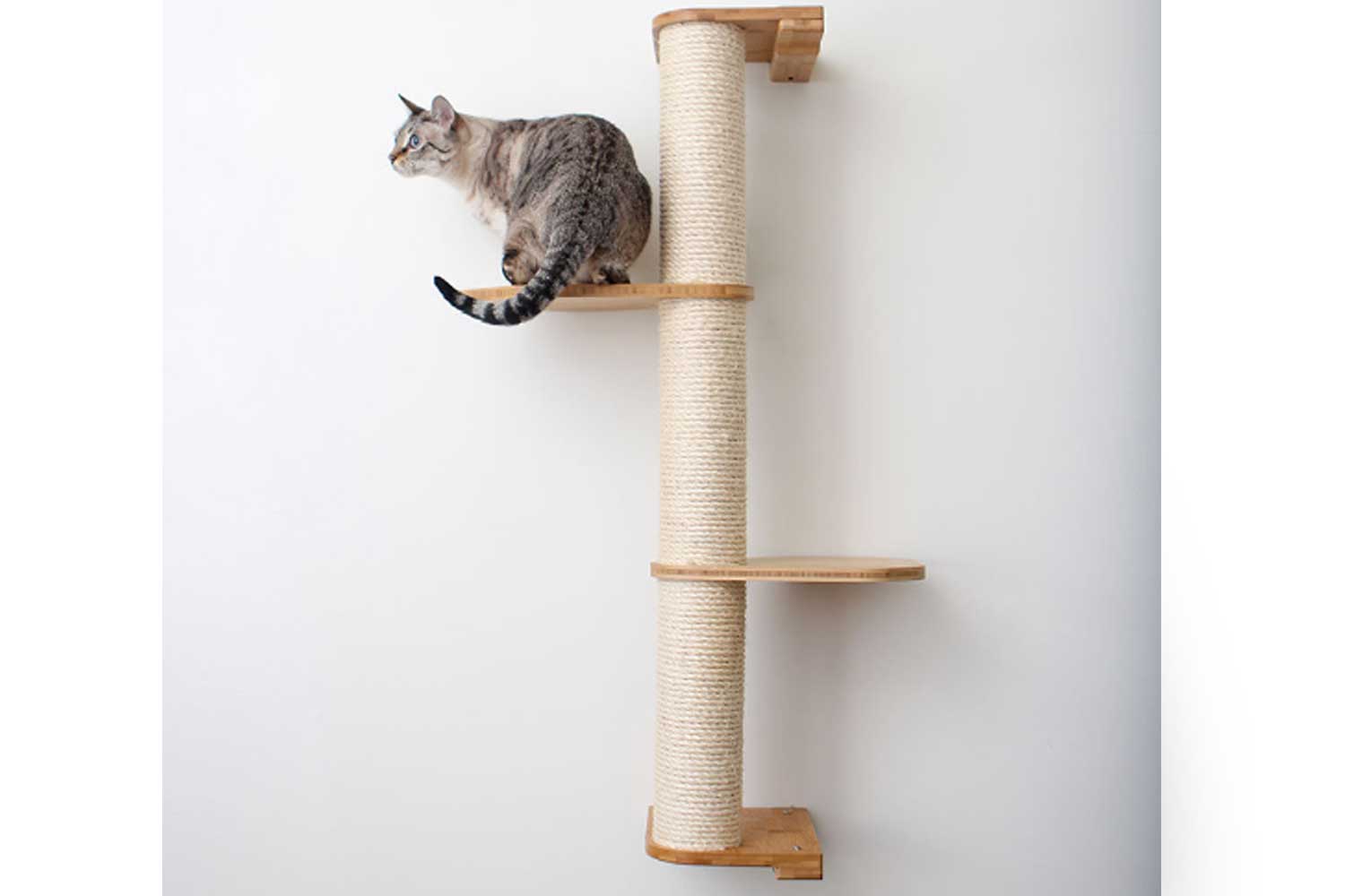 Catastrophic Creations Wall Mounted Cat Climbing Pole - Sisal