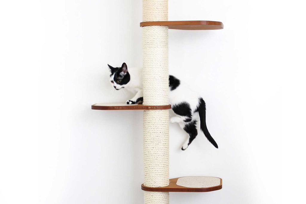 Catastrophic Creations Wall Mounted Cat Climbing Pole - Sisal