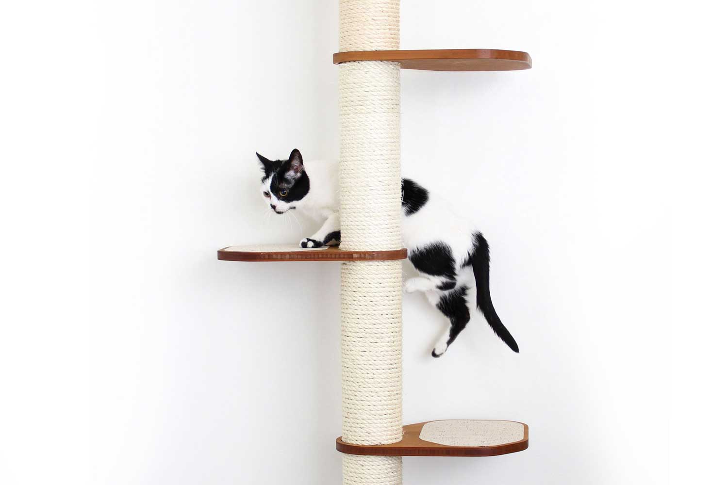 Catastrophic Creations Wall Mounted Cat Climbing Pole - Sisal