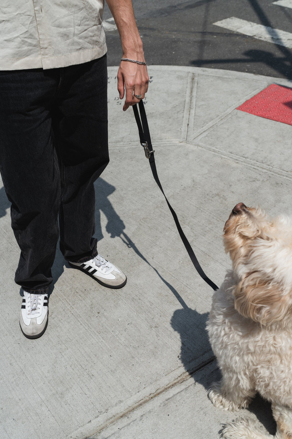 The City Dog Leash