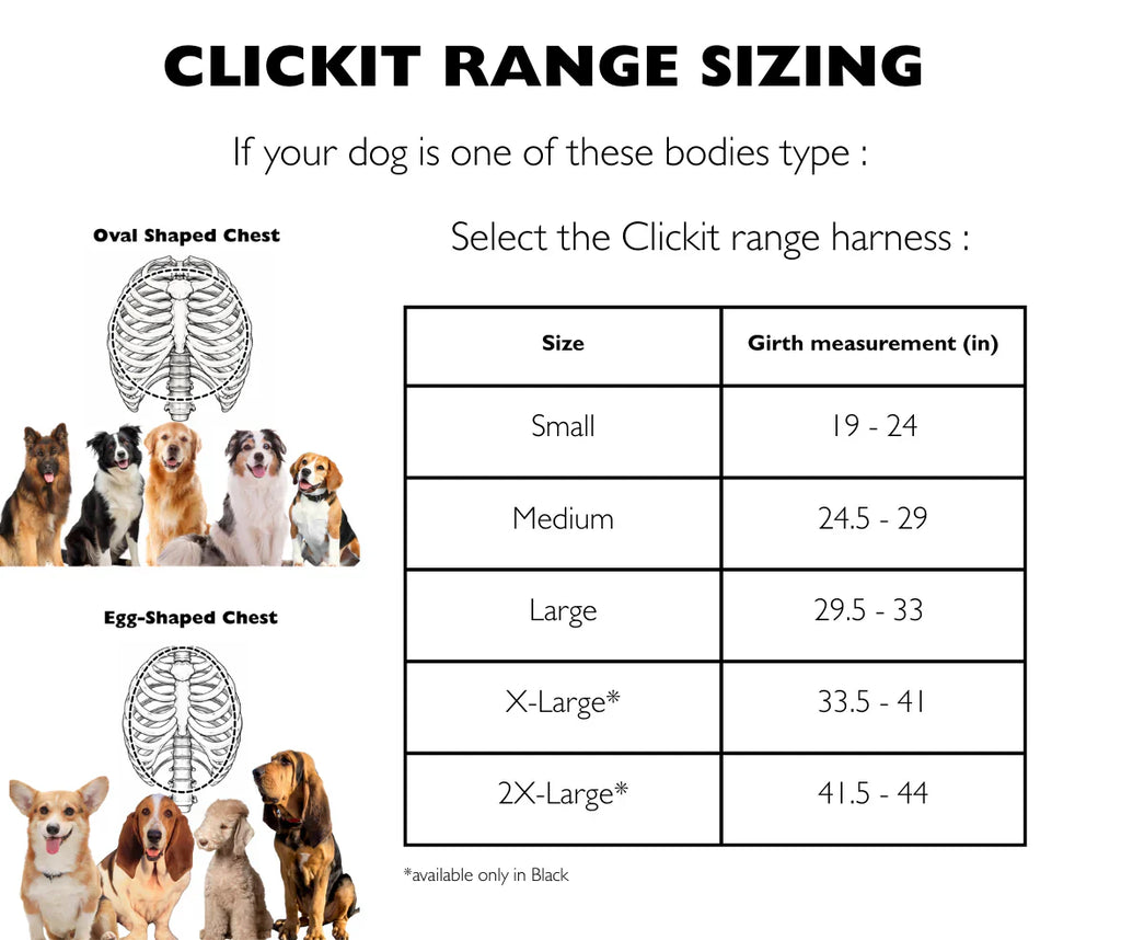 Sleepypod Clickit Range Harness - Next Generation Car Safety