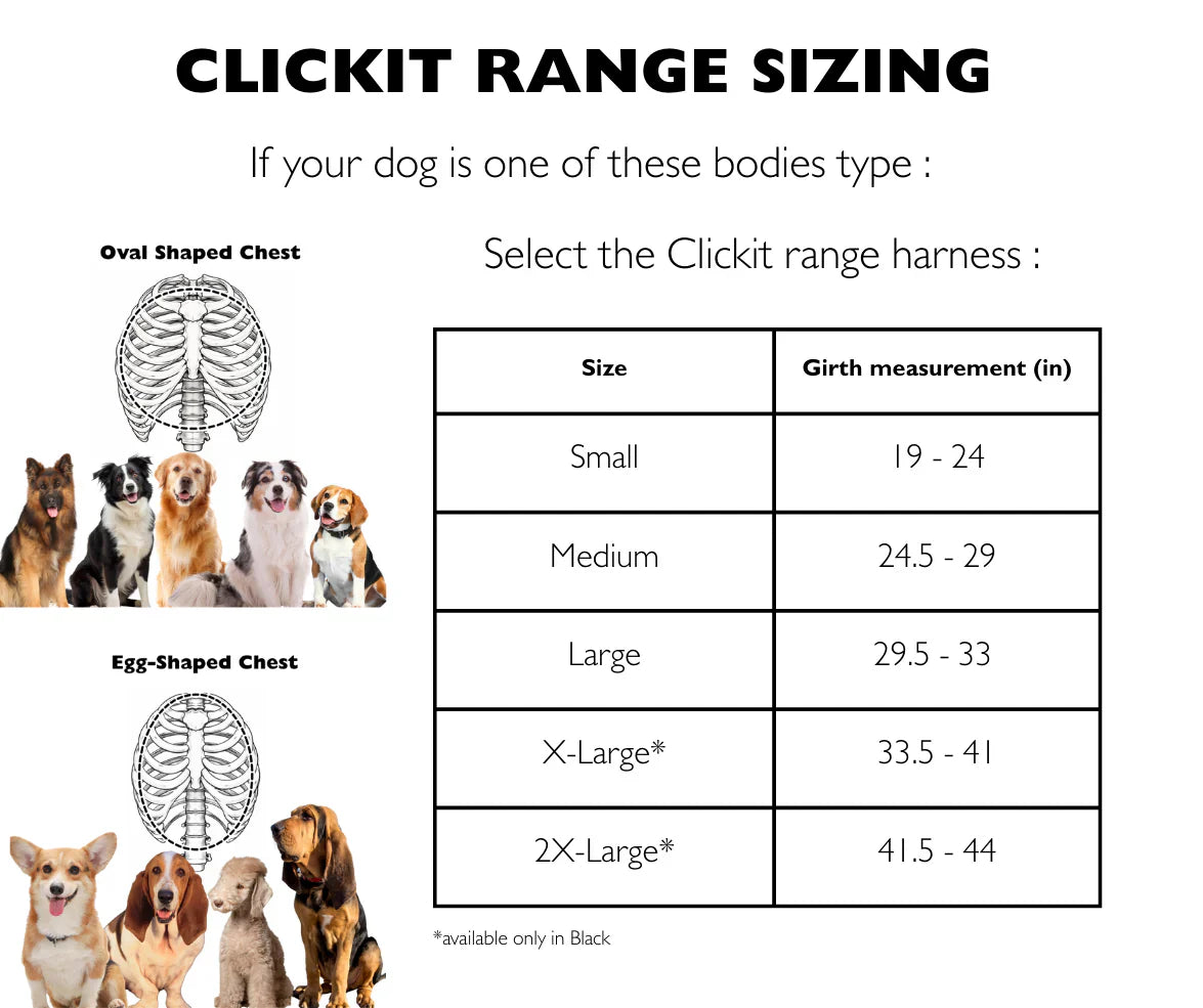 Sleepypod Clickit Range Harness - Next Generation Car Safety