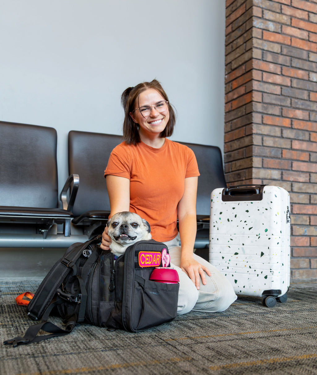 K9 Sport Sack Sky Pack | Convertible Dog Backpack & Pet Carrier