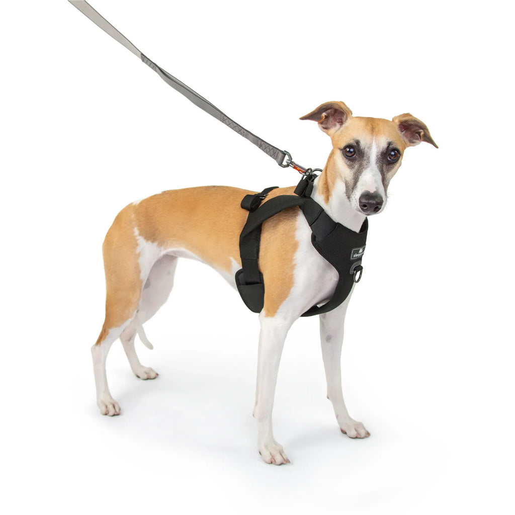 Sleepypod Clickit Range Harness - Next Generation Car Safety