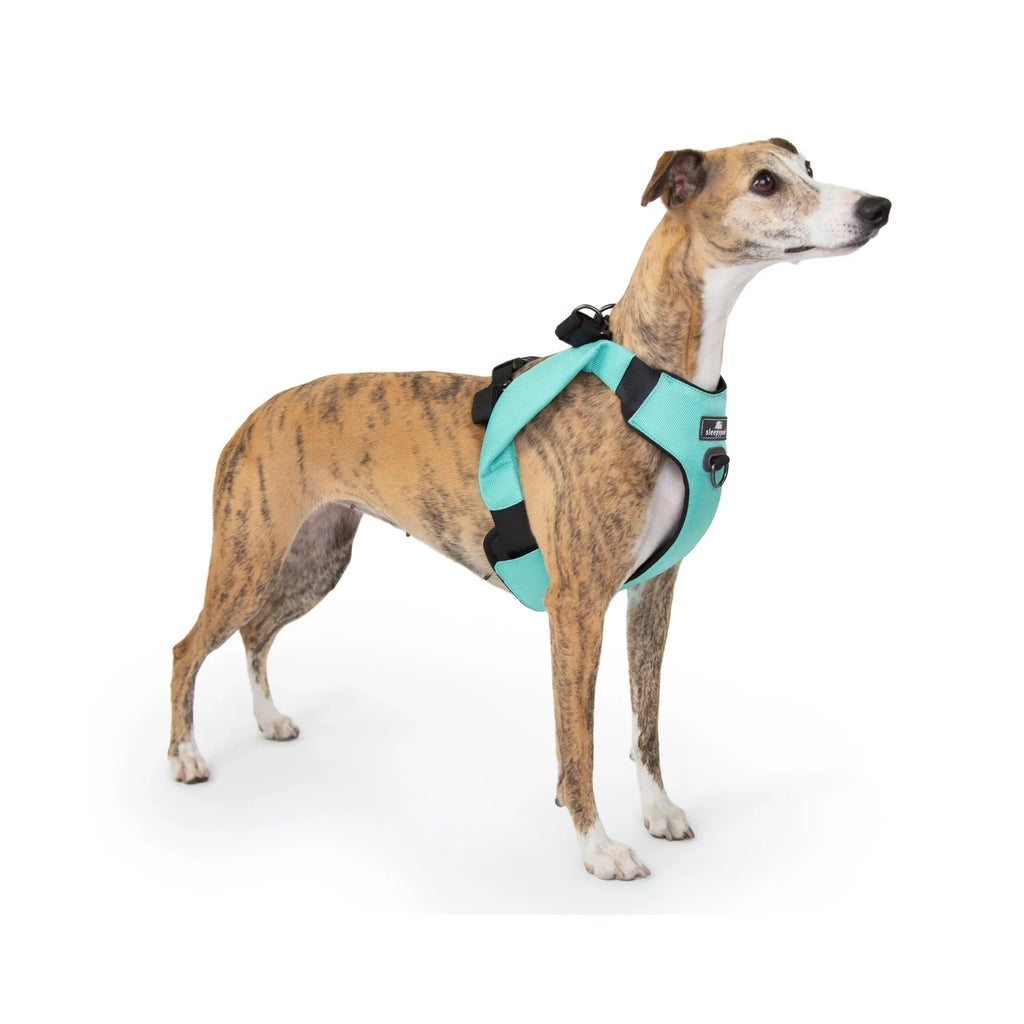 Sleepypod Clickit Range Harness - Next Generation Car Safety