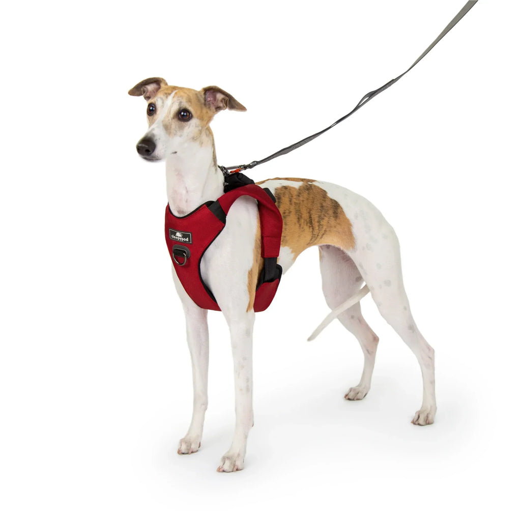Sleepypod Clickit Range Harness - Next Generation Car Safety