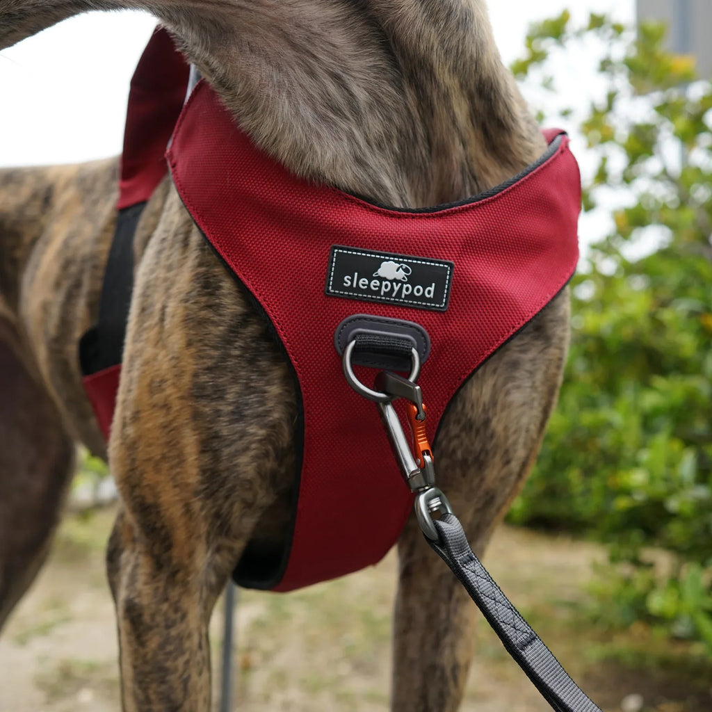 Sleepypod Clickit Range Harness - Next Generation Car Safety