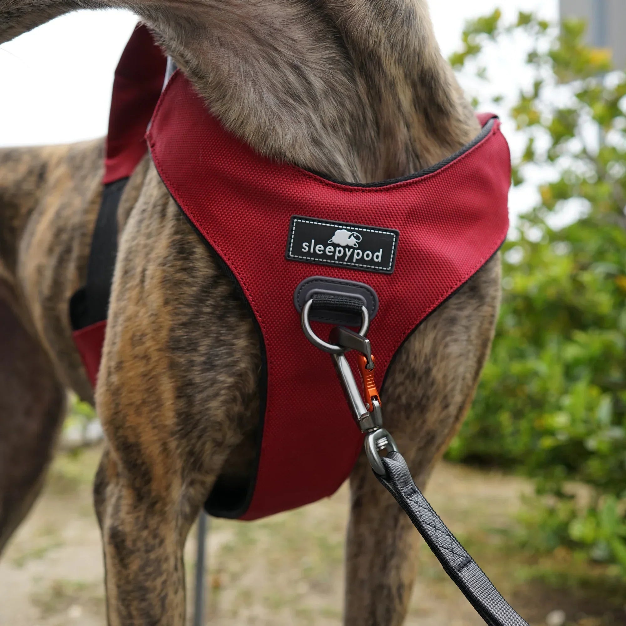 Sleepypod Clickit Range Harness - Next Generation Car Safety