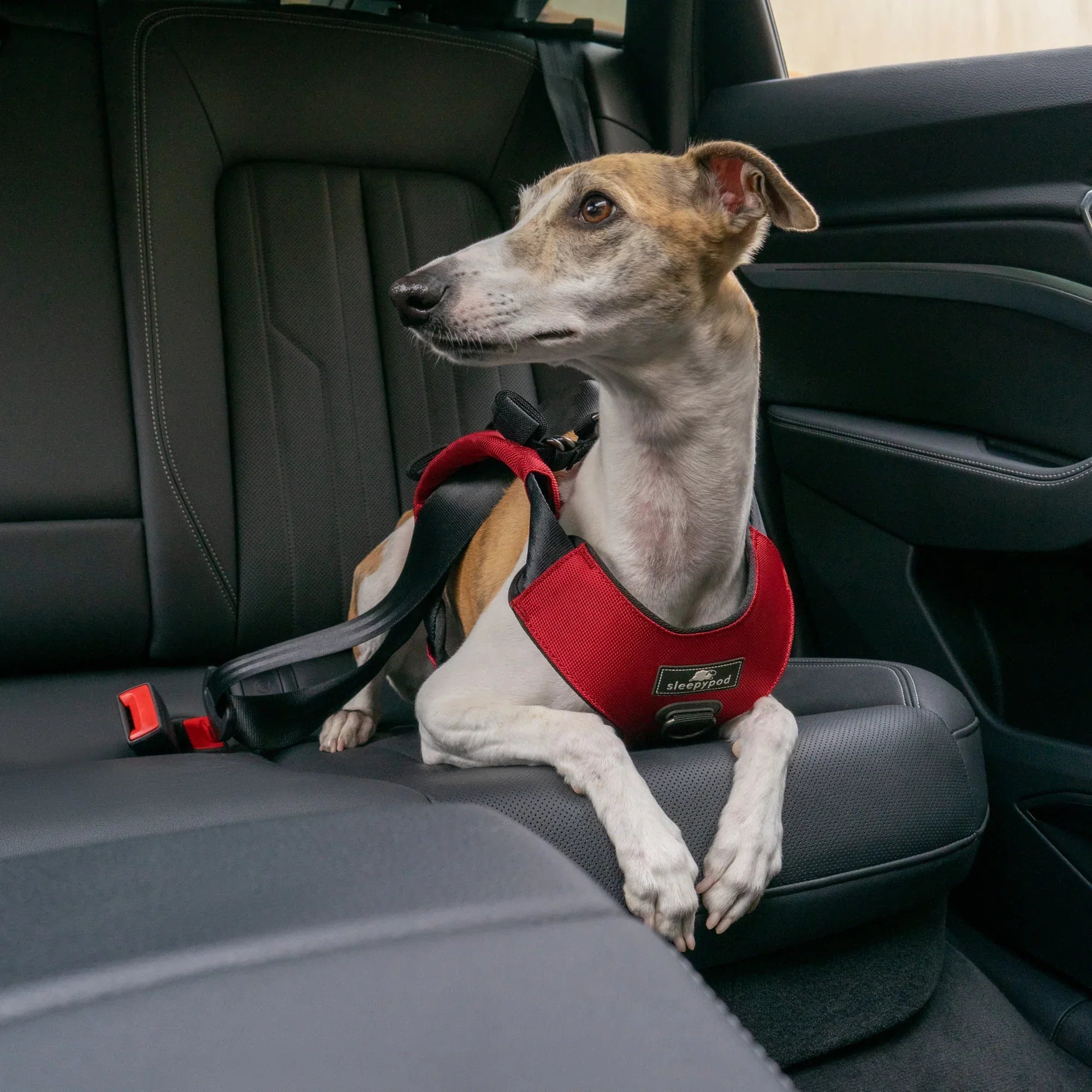 Sleepypod Clickit Range Harness - Next Generation Car Safety