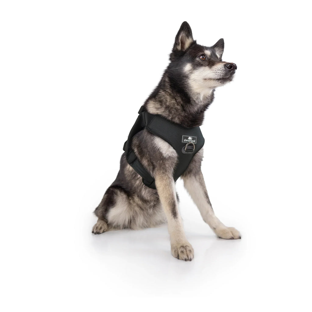 Sleepypod Clickit Range Harness - Next Generation Car Safety