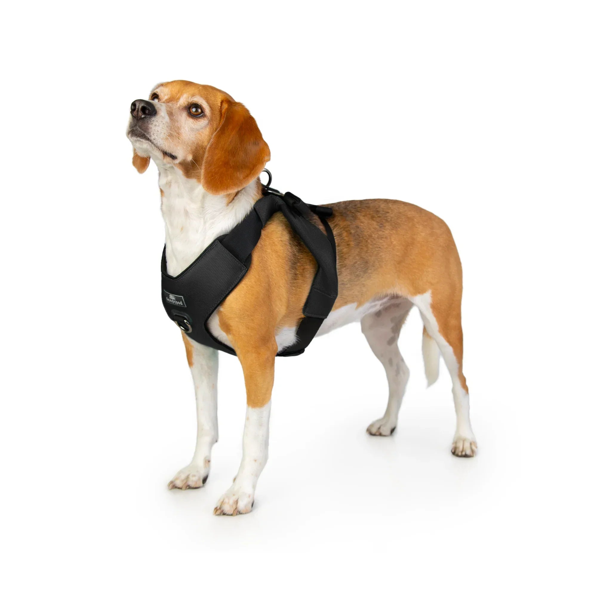 Sleepypod Clickit Range Harness - Next Generation Car Safety