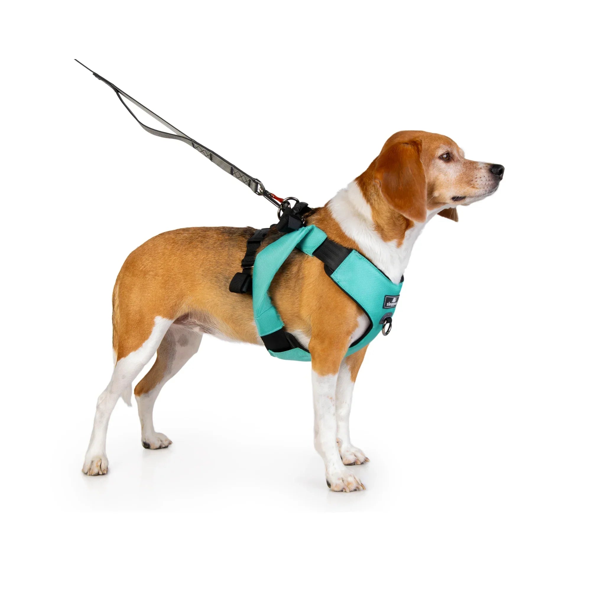 Sleepypod Clickit Range Harness - Next Generation Car Safety