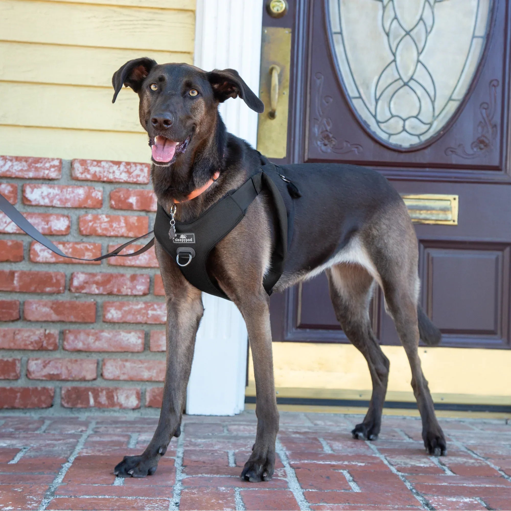 Sleepypod Clickit Range Harness - Next Generation Car Safety