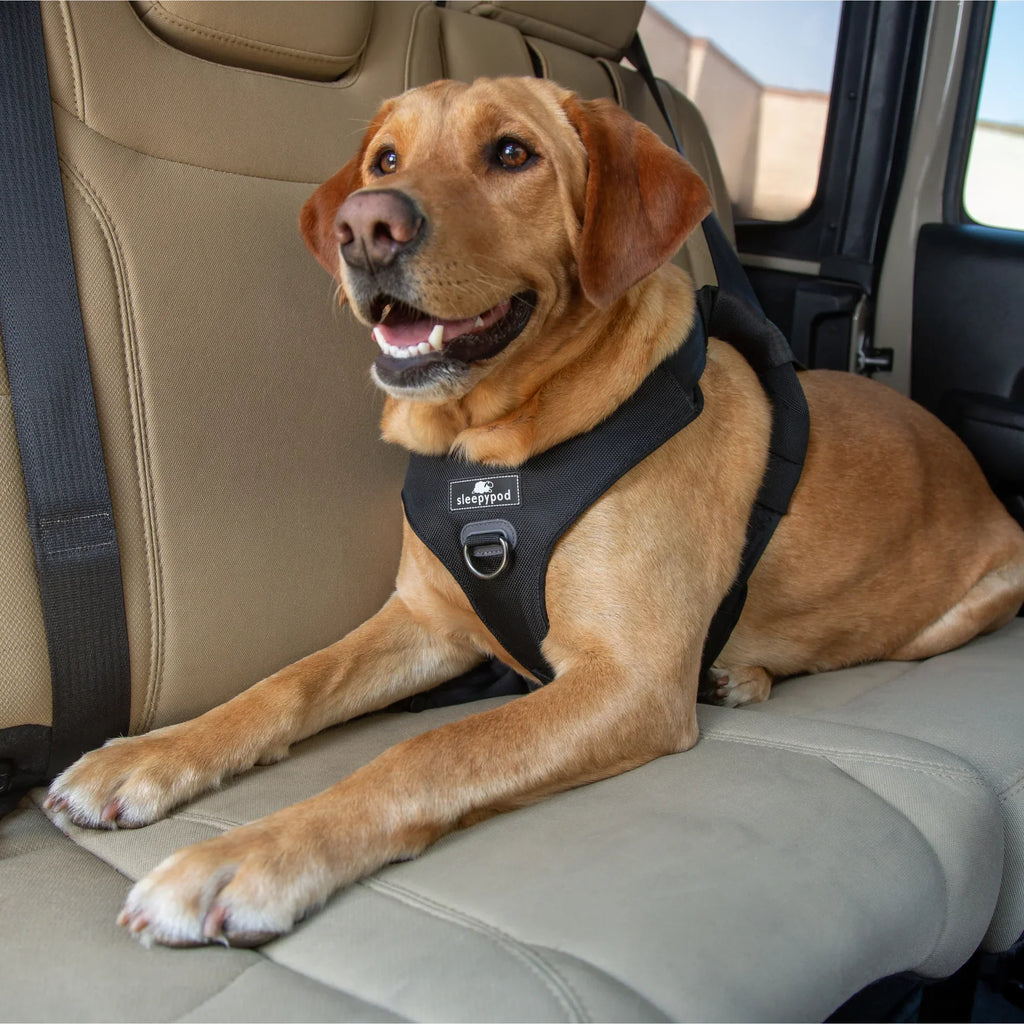 Sleepypod Clickit Range Harness - Next Generation Car Safety
