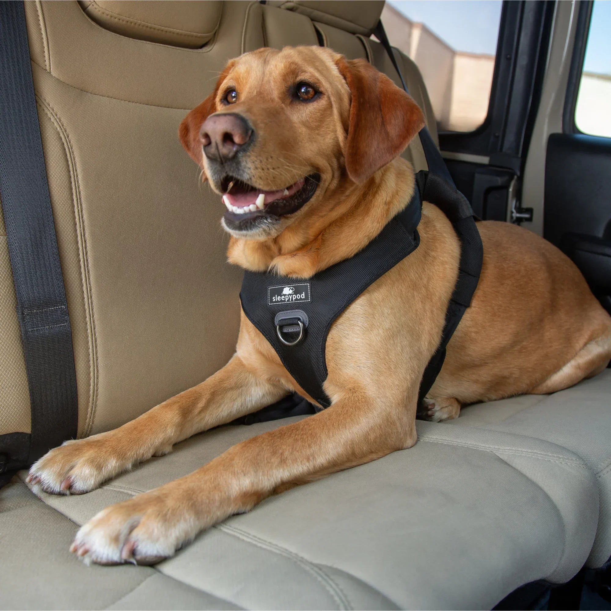 Sleepypod Clickit Range Harness - Next Generation Car Safety
