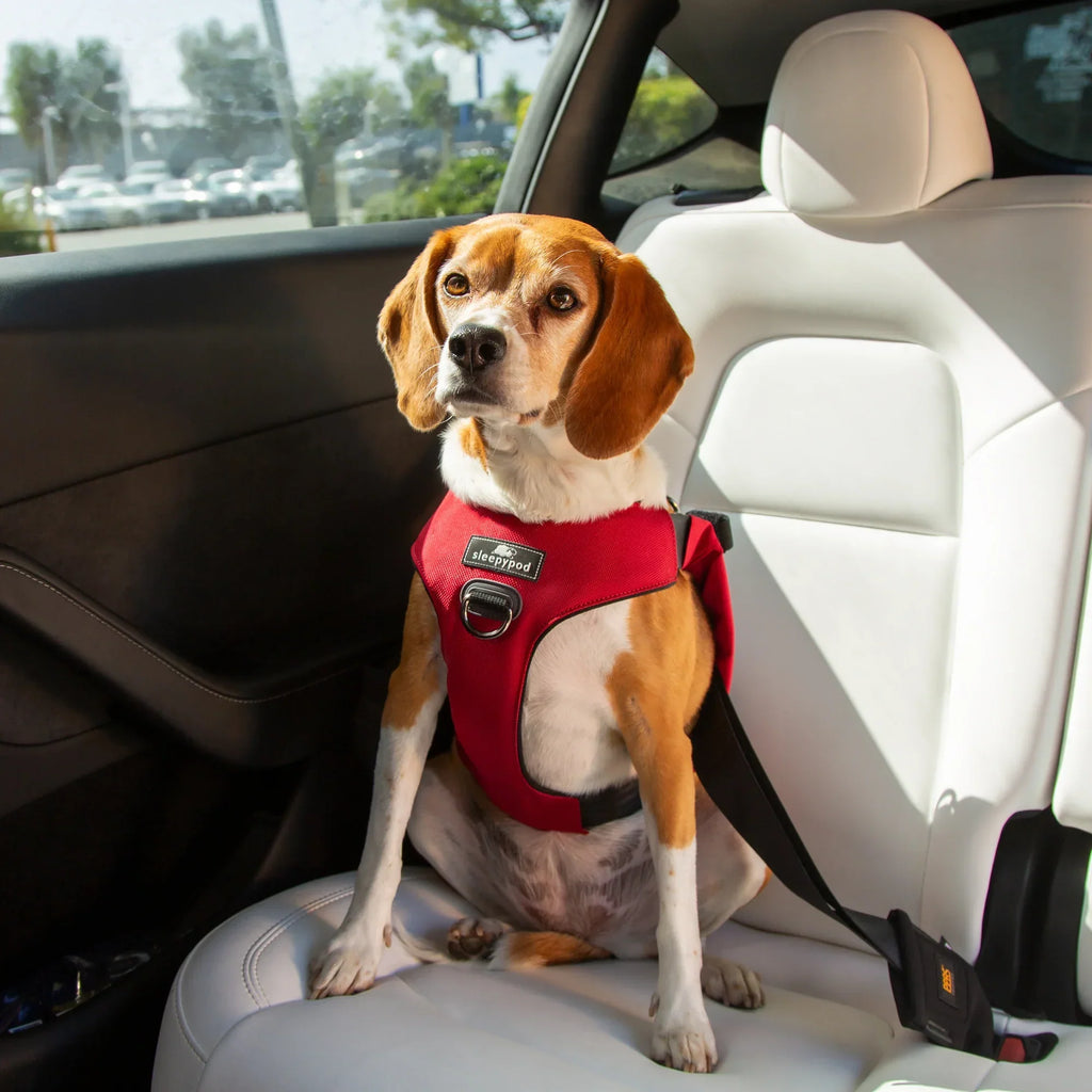 Sleepypod Clickit Range Harness - Next Generation Car Safety