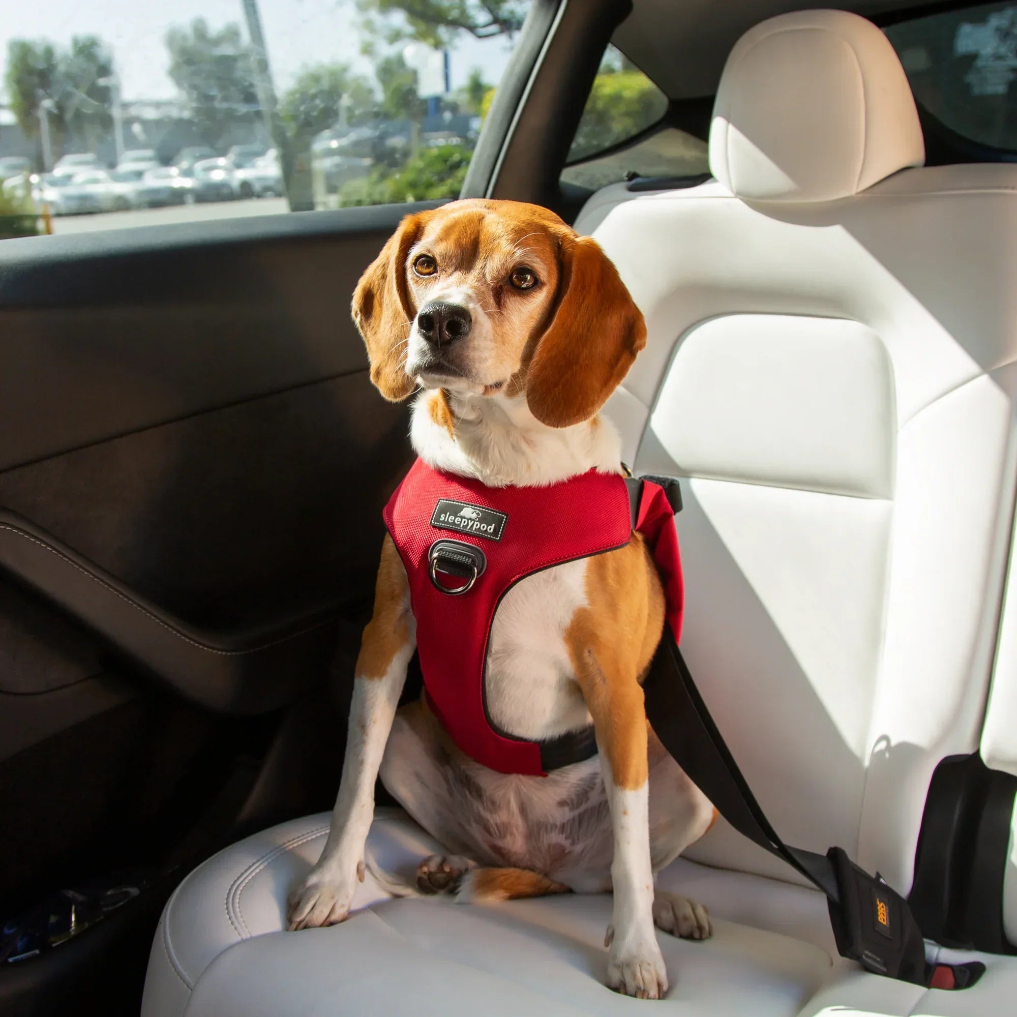 Sleepypod Clickit Range Harness - Next Generation Car Safety