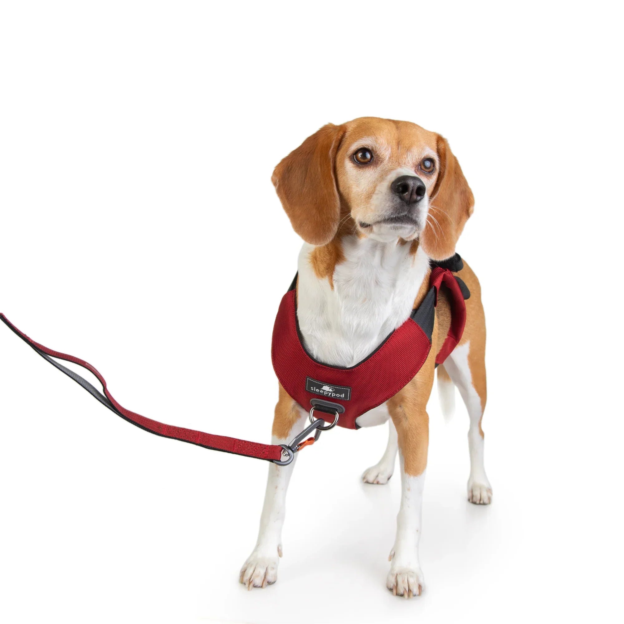 Sleepypod Clickit Range Harness - Next Generation Car Safety